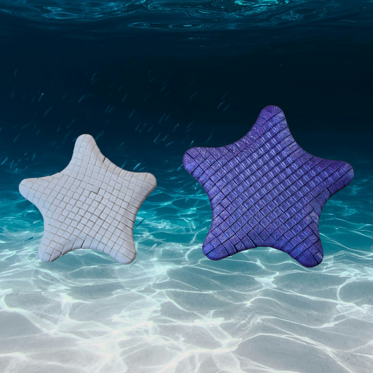 Medium Fidget starfish